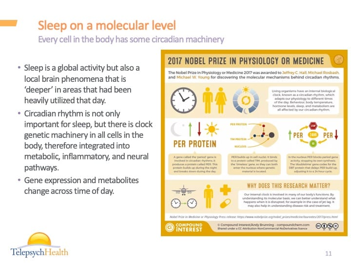 Sleep on a molecular level slide presentation
