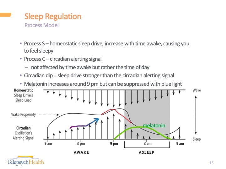 Sleep regulation slide presentation